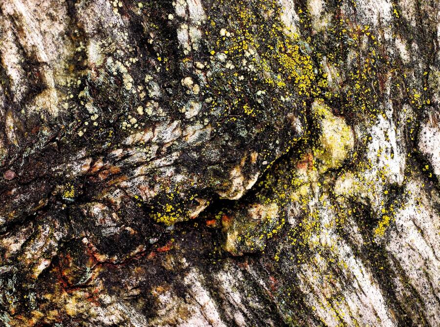 photographer Martin330 macro  photo taken at barnsley