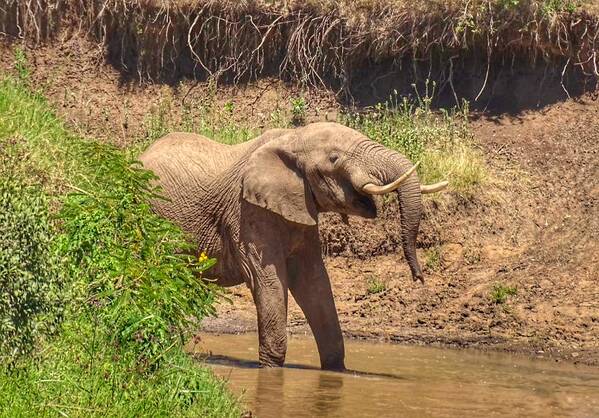 photographer Photographer Gino Cinganelli uncategorized  photo