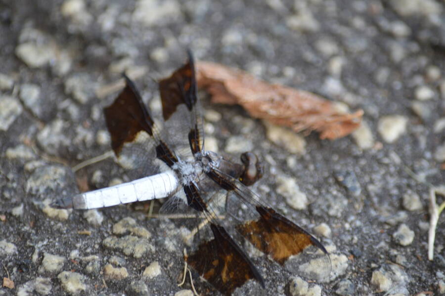 photographer LS Reflections uncategorized  photo