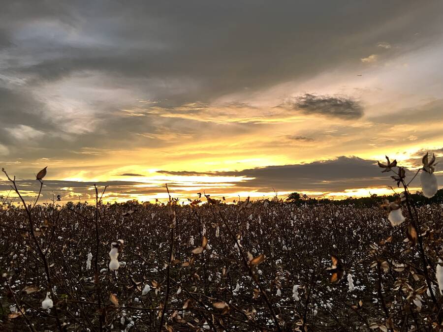 photographer LS Reflections uncategorized  photo