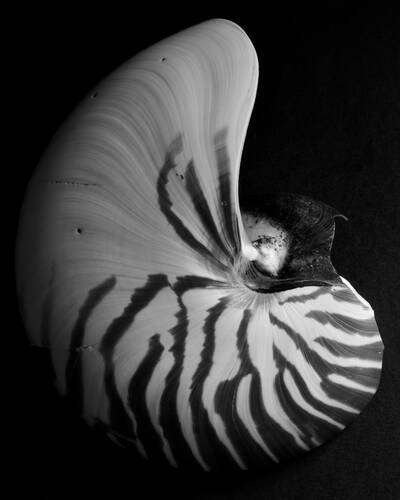 photographer Fotochawes macro modelling photo