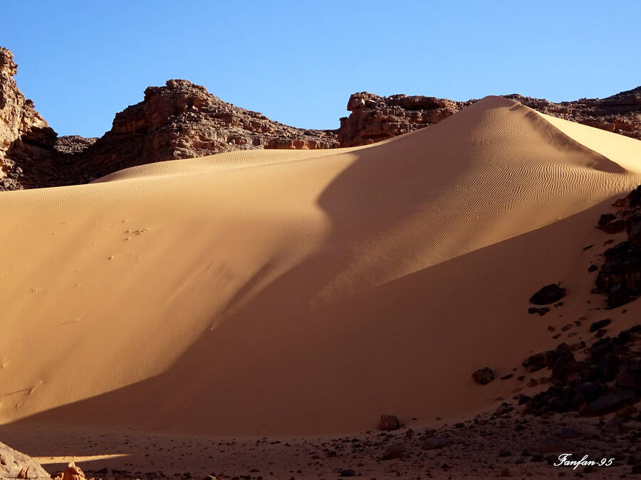 photographer Fanfan95 uncategorized  photo