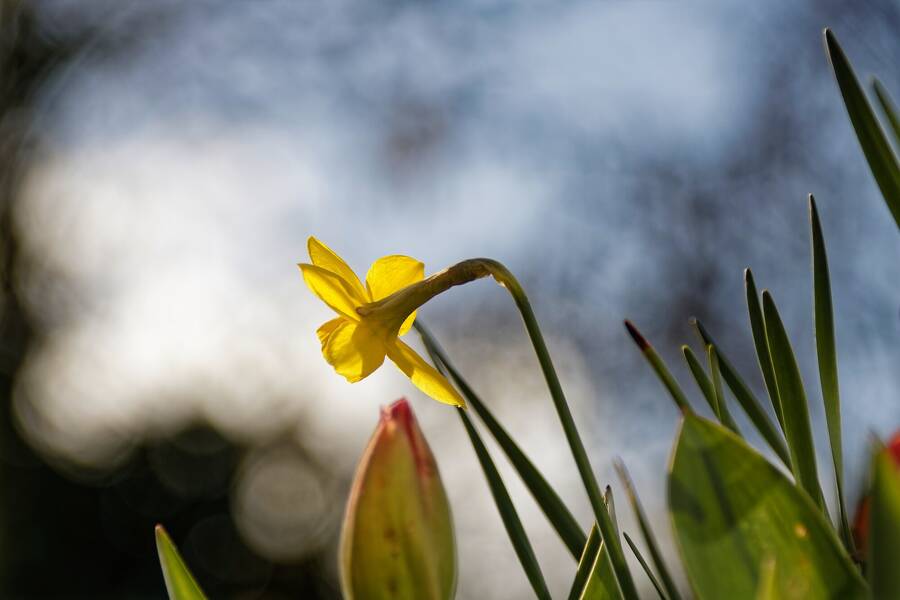 photographer dntphotographs nature  photo