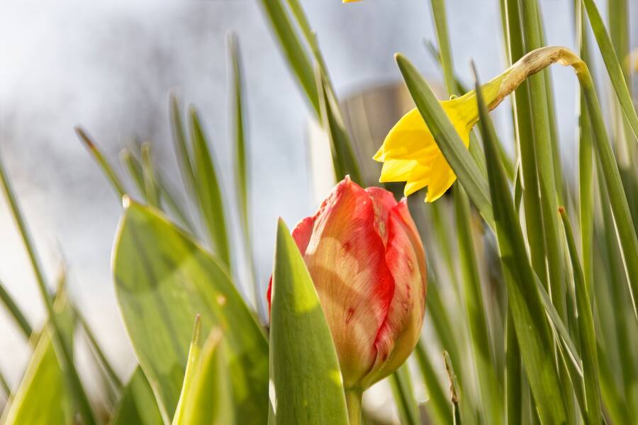 photographer dntphotographs nature  photo