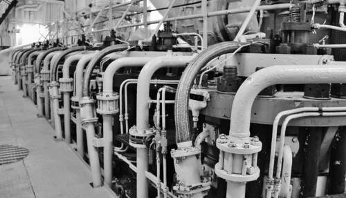 photographer Pan uncategorized  photo