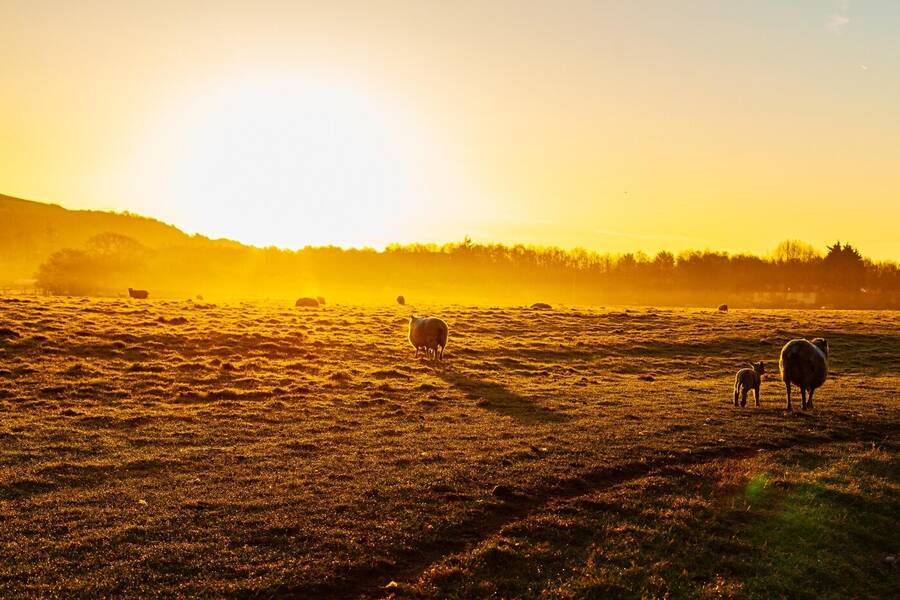 photographer Dom Photographic landscape  photo