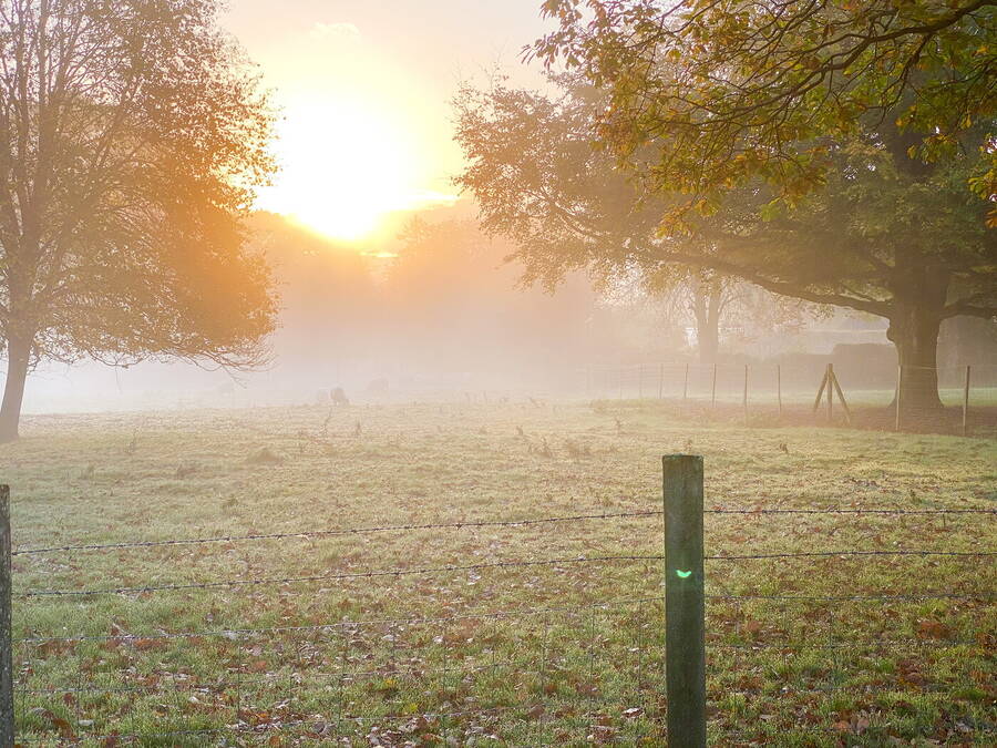 photographer Dom Photographic landscape  photo