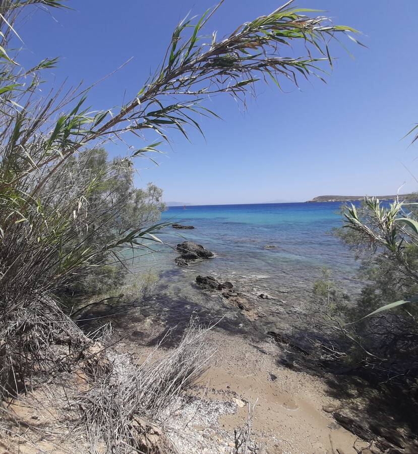 photographer JFC Images uncategorized  photo