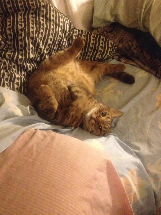 photographer Chicago Shutter portraiture  photo