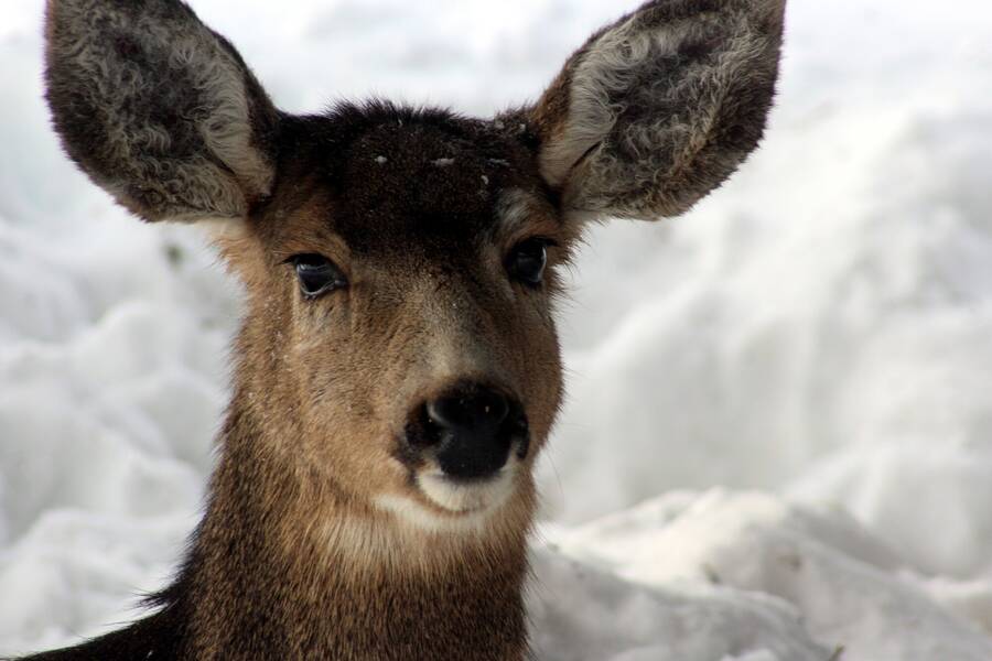 photographer defriez photo uncategorized  photo