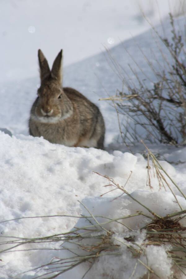 photographer defriez photo uncategorized  photo