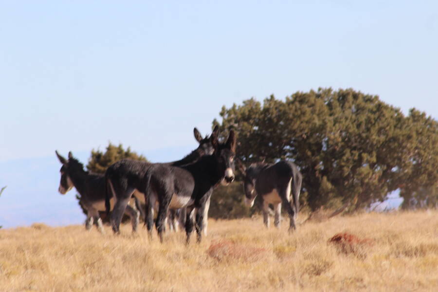 photographer defriez photo uncategorized  photo