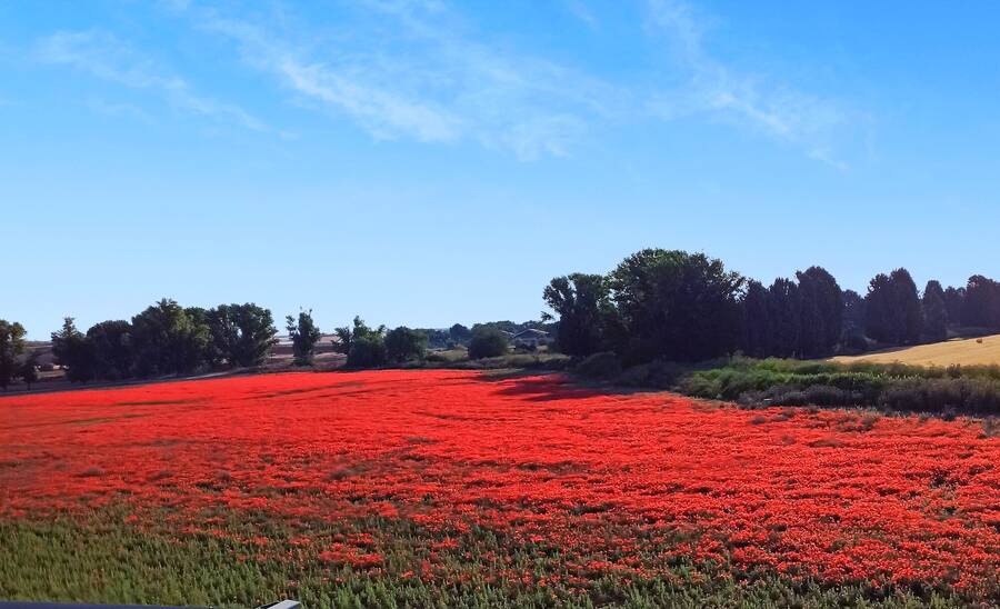 photographer Fignacio uncategorized  photo