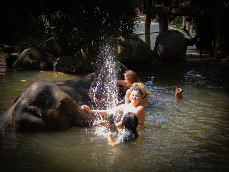 photographer Surfie wildlife  photo taken at Thailand