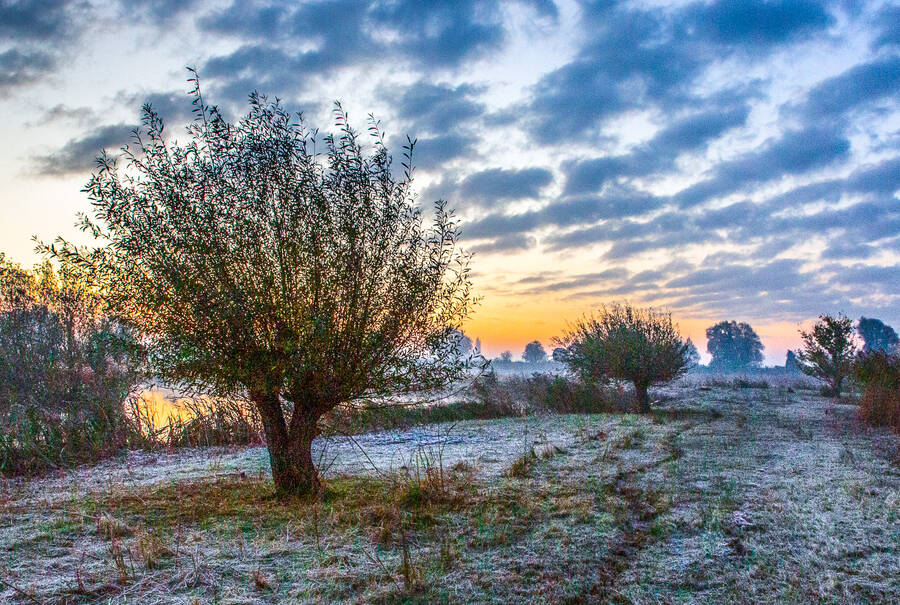 photographer Steve landscape  photo