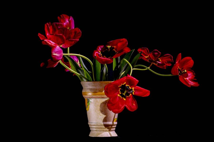 photographer Roleykhorde still life  photo