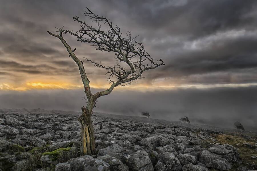 photographer Roleykhorde landscape  photo