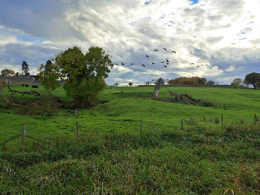 photographer ThePaleRider uncategorized  photo