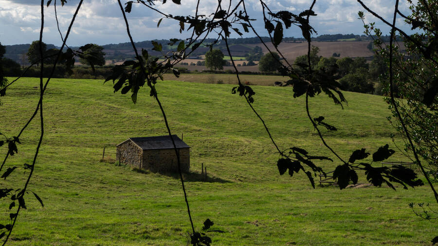 photographer ThePaleRider uncategorized  photo