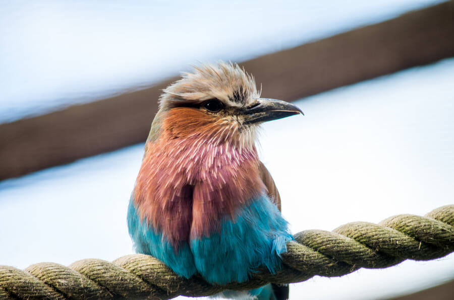 photographer ThePaleRider uncategorized  photo