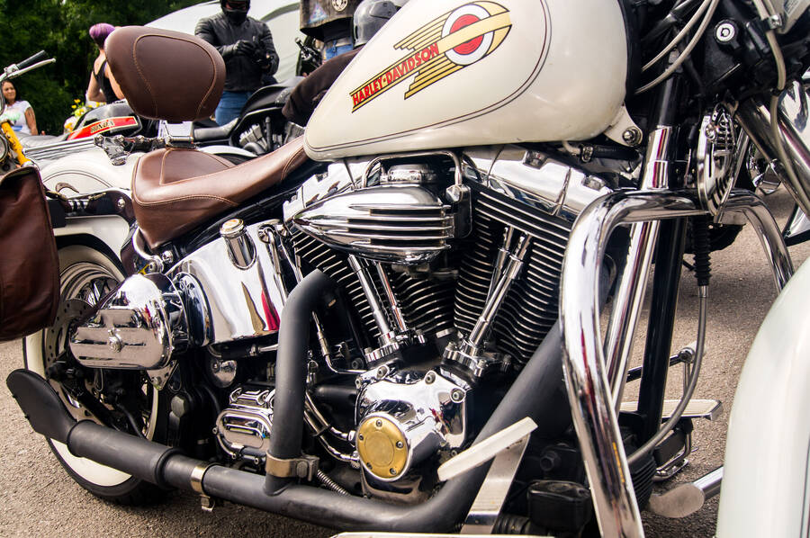 photographer ThePaleRider uncategorized  photo