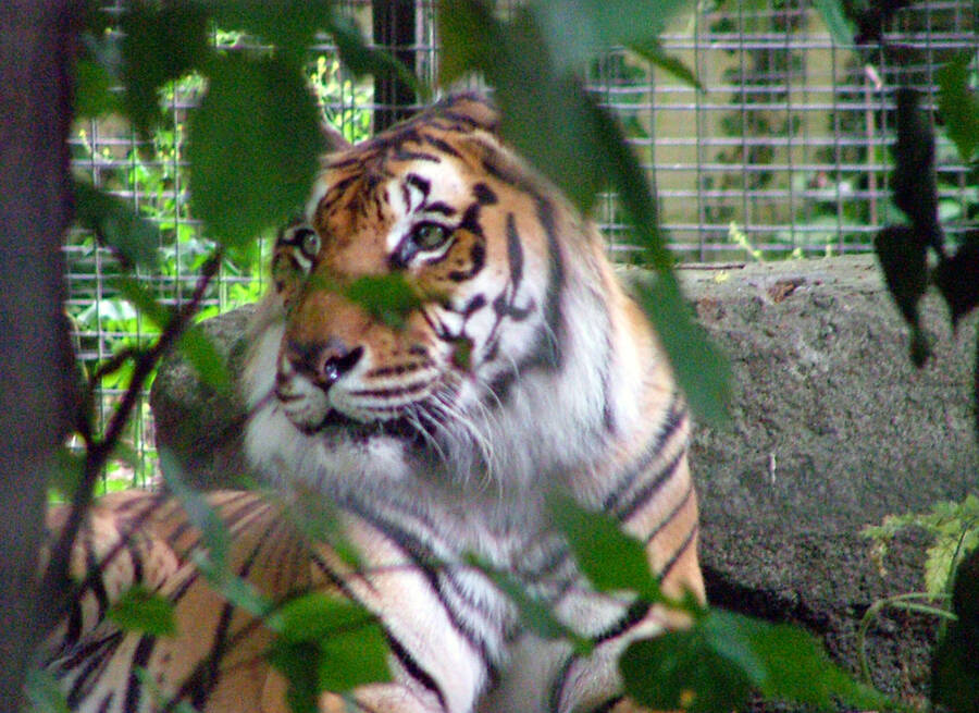 photographer ThePaleRider uncategorized  photo