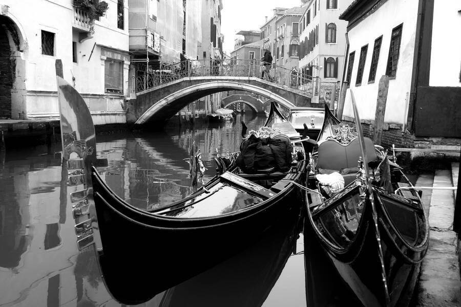 photographer Bitten by the Bug travel  photo