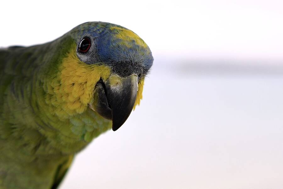 photographer JFC Images uncategorized  photo