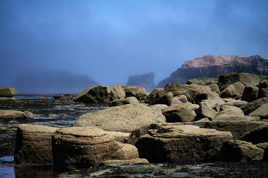 photographer Sirens Cairns uncategorized  photo taken at whitby