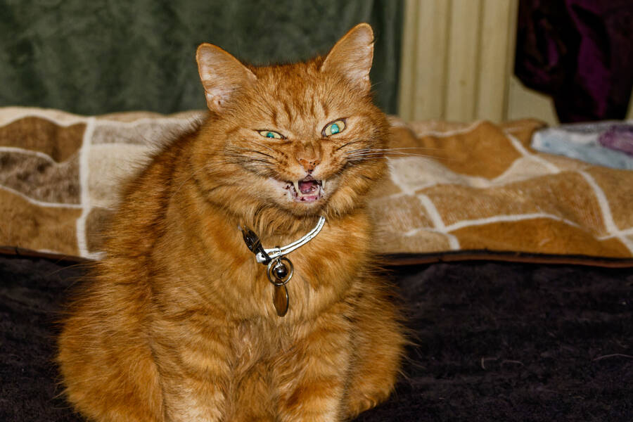 photographer dntphotographs portraiture  photo taken at United Kingdom