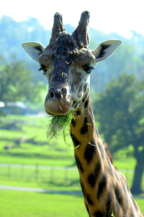 photographer Stuart McG wildlife  photo