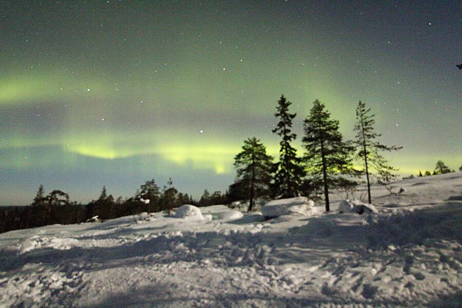 digital artist Venus111 night  photo