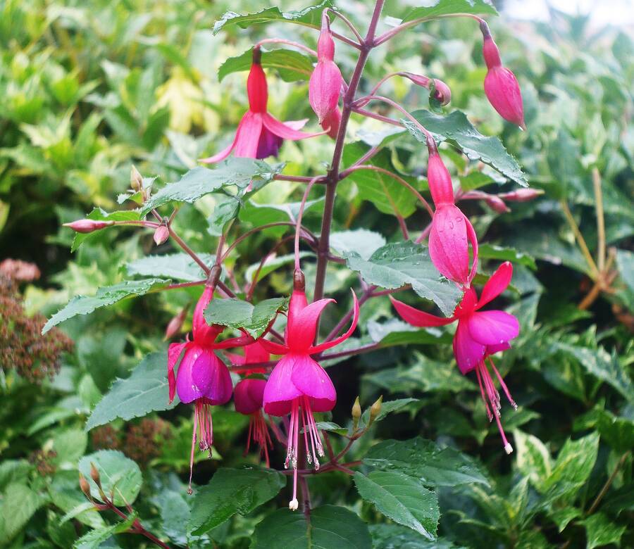 photographer Martin330 landscape  photo