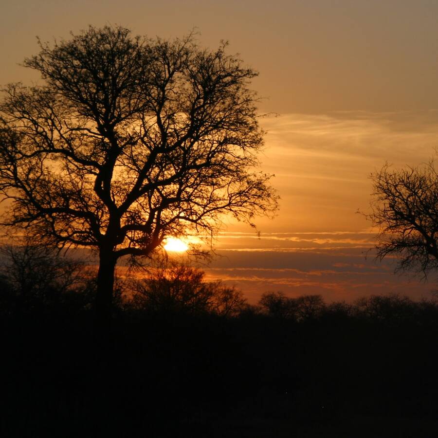 photographer NimpKish Arts landscape  photo taken at South Africa