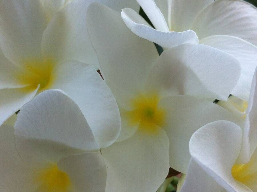 photographer Surfie landscape  photo taken at Noosa Heads Queensland Australia