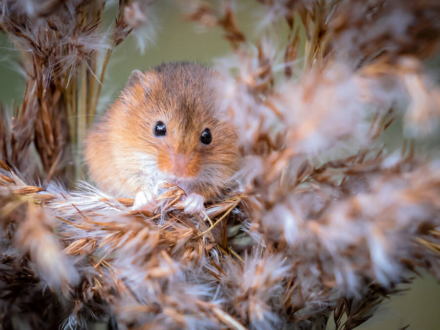 photographer Steve uncategorized  photo