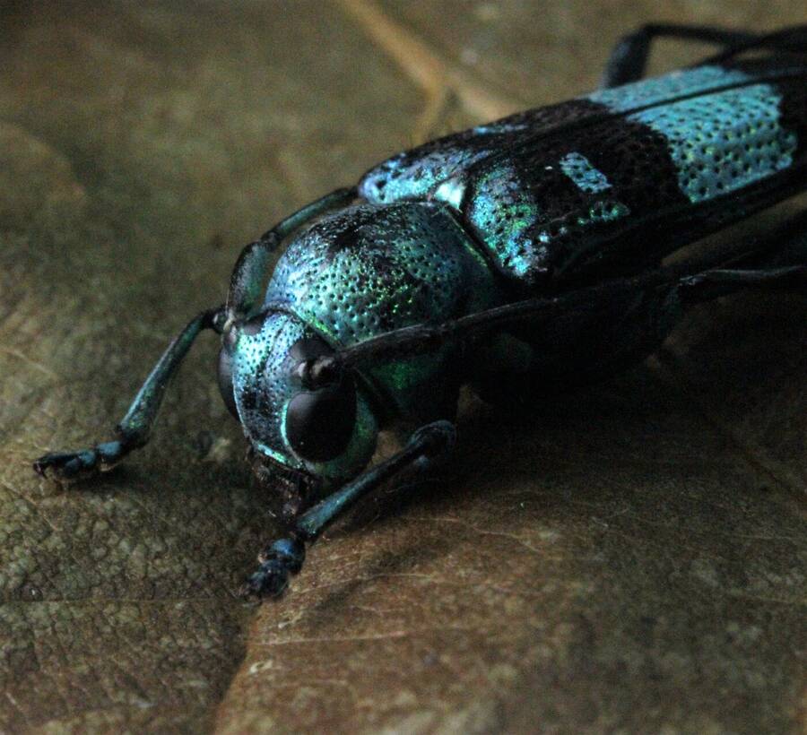 photographer Vertor wildlife  photo taken at Barrow in Furness camera club