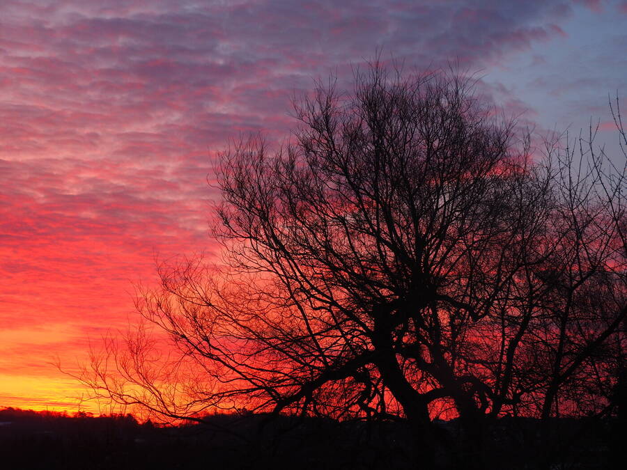 photographer Rosewood  Pix landscape  photo