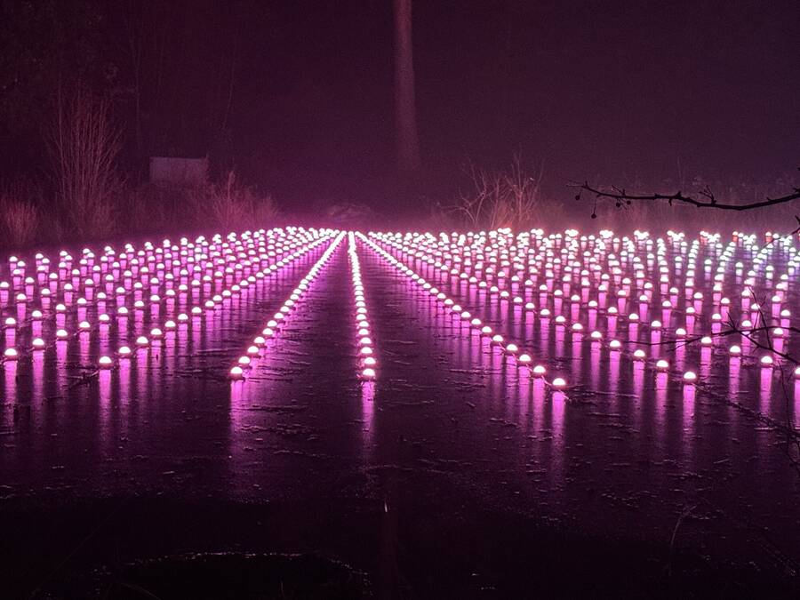 photographer Photographer Gino Cinganelli abstract  photo