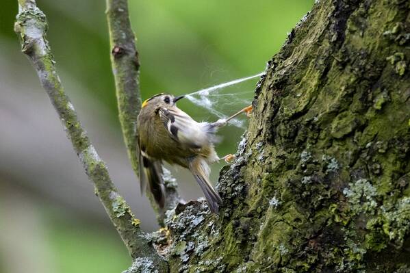 photographer The Opportunist uncategorized modelling photo