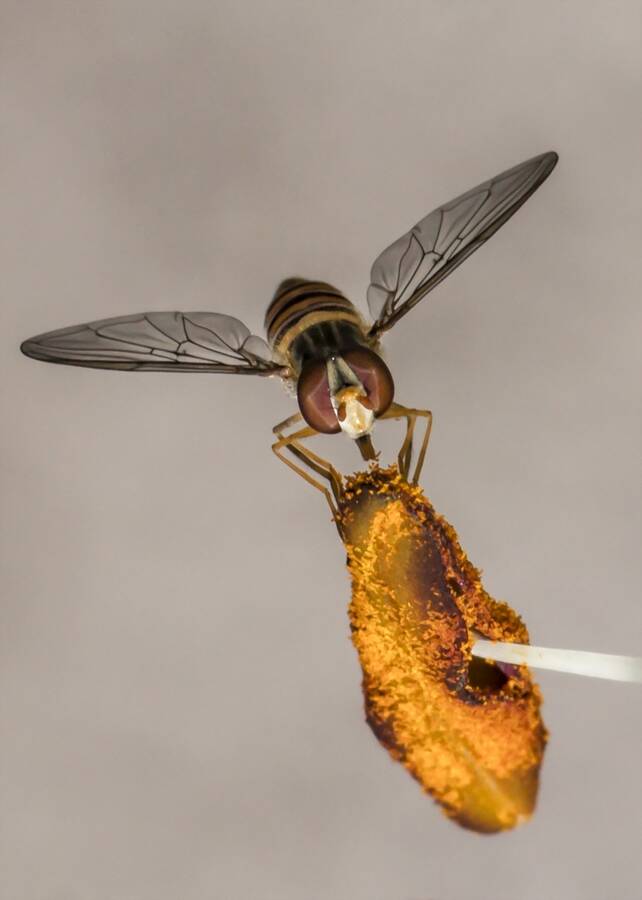 photographer The Opportunist uncategorized modelling photo