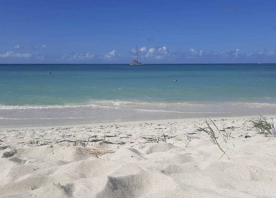 photographer JFC Images uncategorized  photo