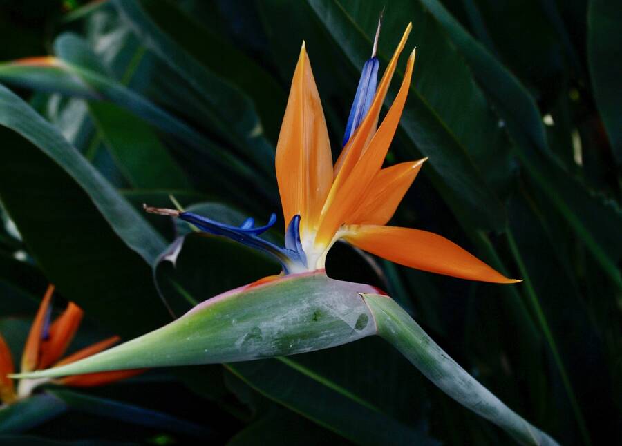 photographer Fotochawes uncategorized  photo