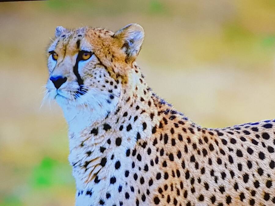 photographer JohnR uncategorized  photo