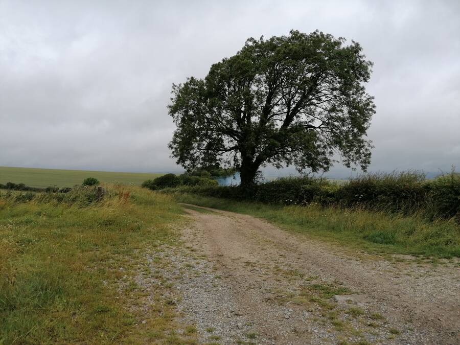 photographer Limited Edition Photography landscape  photo