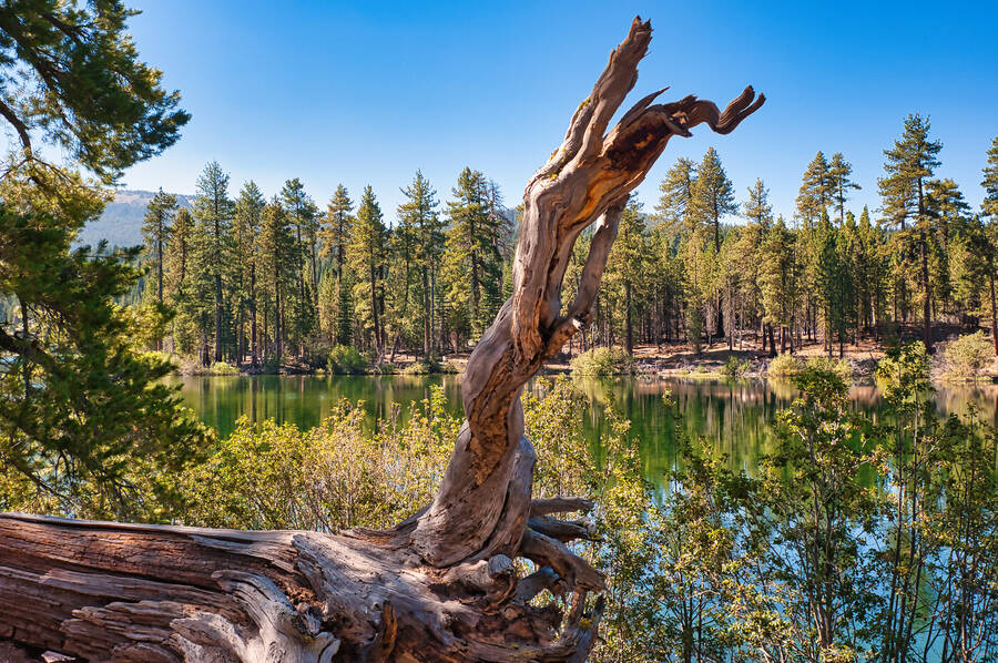 photographer Art of Moment Photography landscape  photo