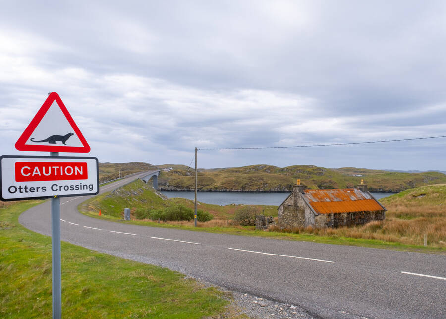 photographer Yorkytog landscape  photo