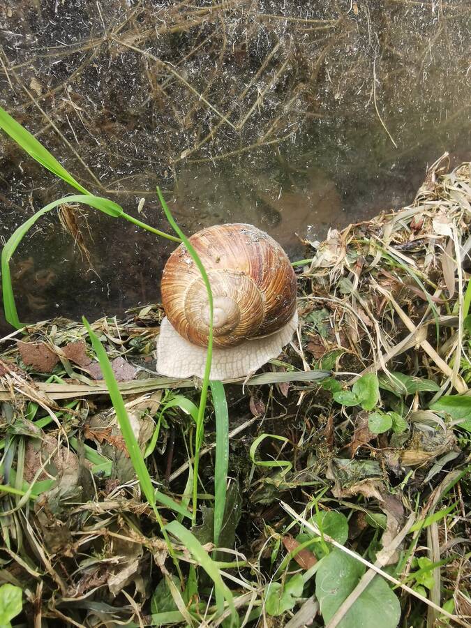 digital artist BennNutzer uncategorized  photo