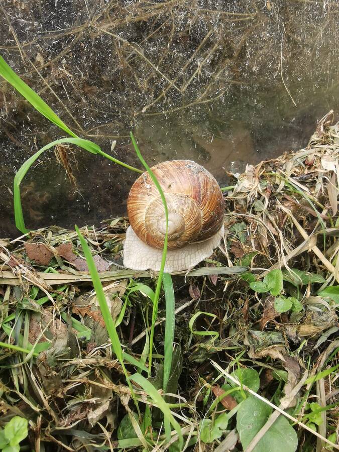 digital artist BennNutzer uncategorized  photo