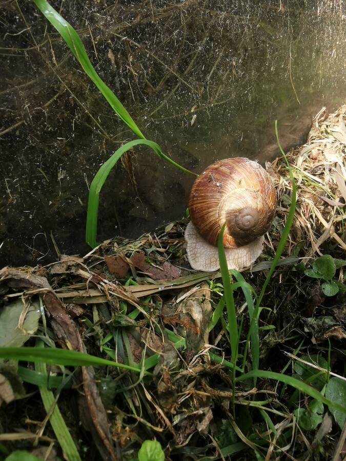 digital artist BennNutzer uncategorized  photo